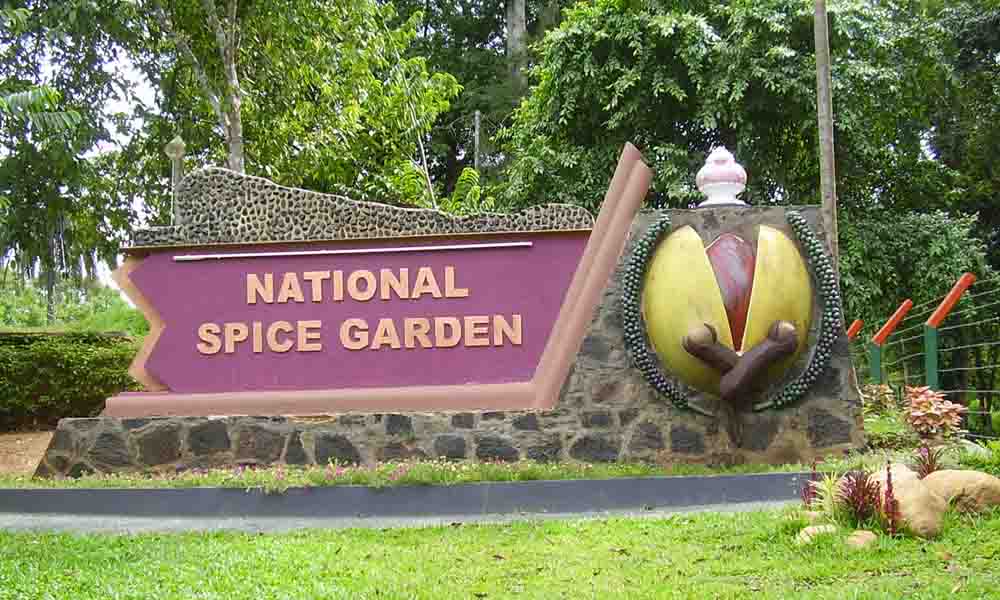 Visit to a Spice Garden